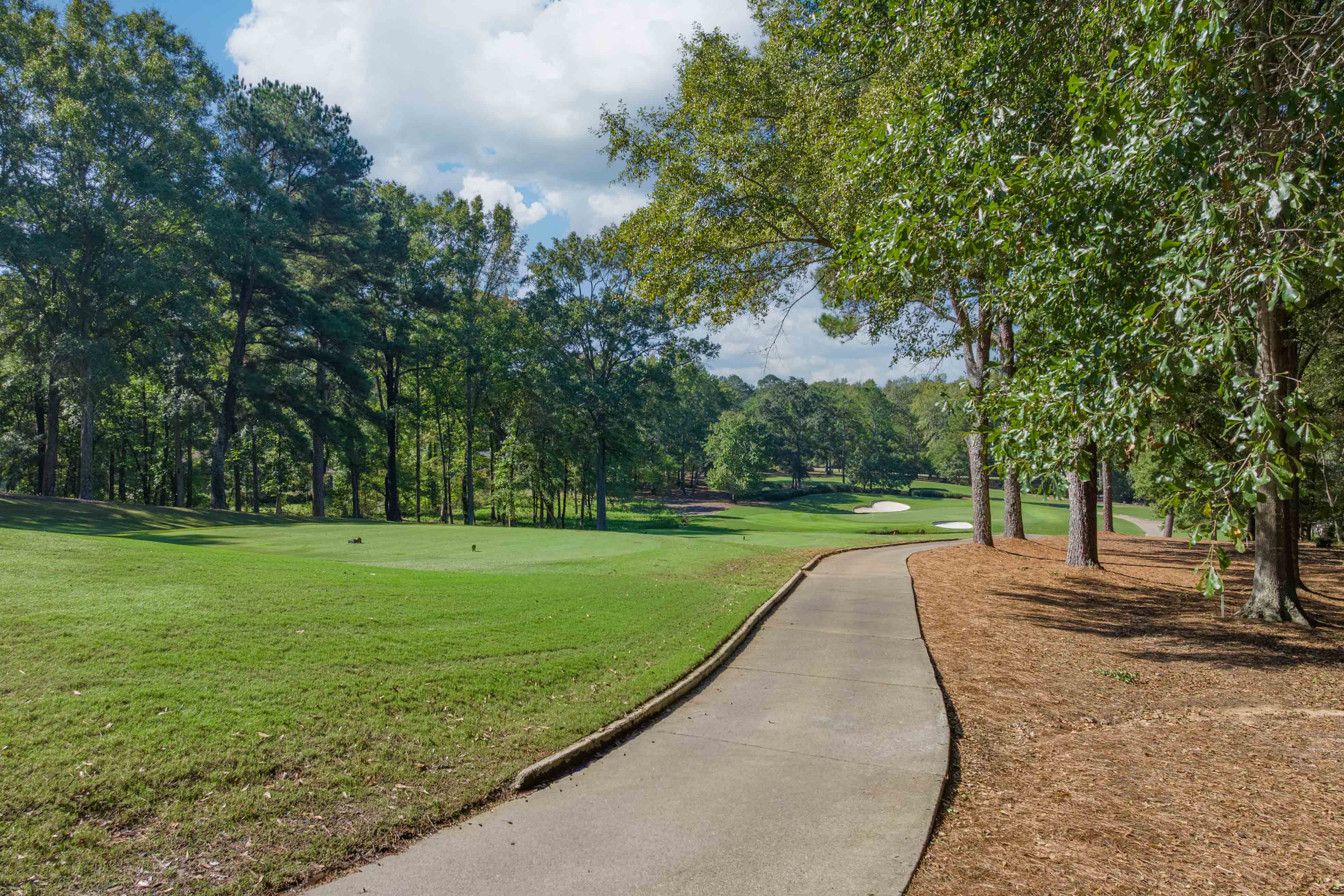 236 Broadlands Drive image 13